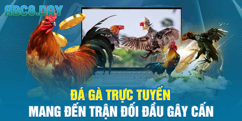 Đá gà ABC8 mang đến trận đối đầu gây cấn