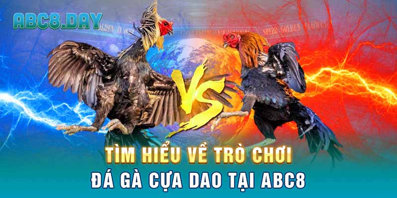 Tìm hiểu về trò chơi đá gà cựa dao tại ABC8