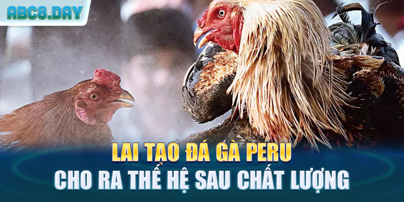 Lai tạo đá gà peru cho ra thế hệ sau chất lượng